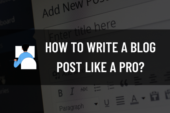 How To Write A Blog Post Like A Pro?